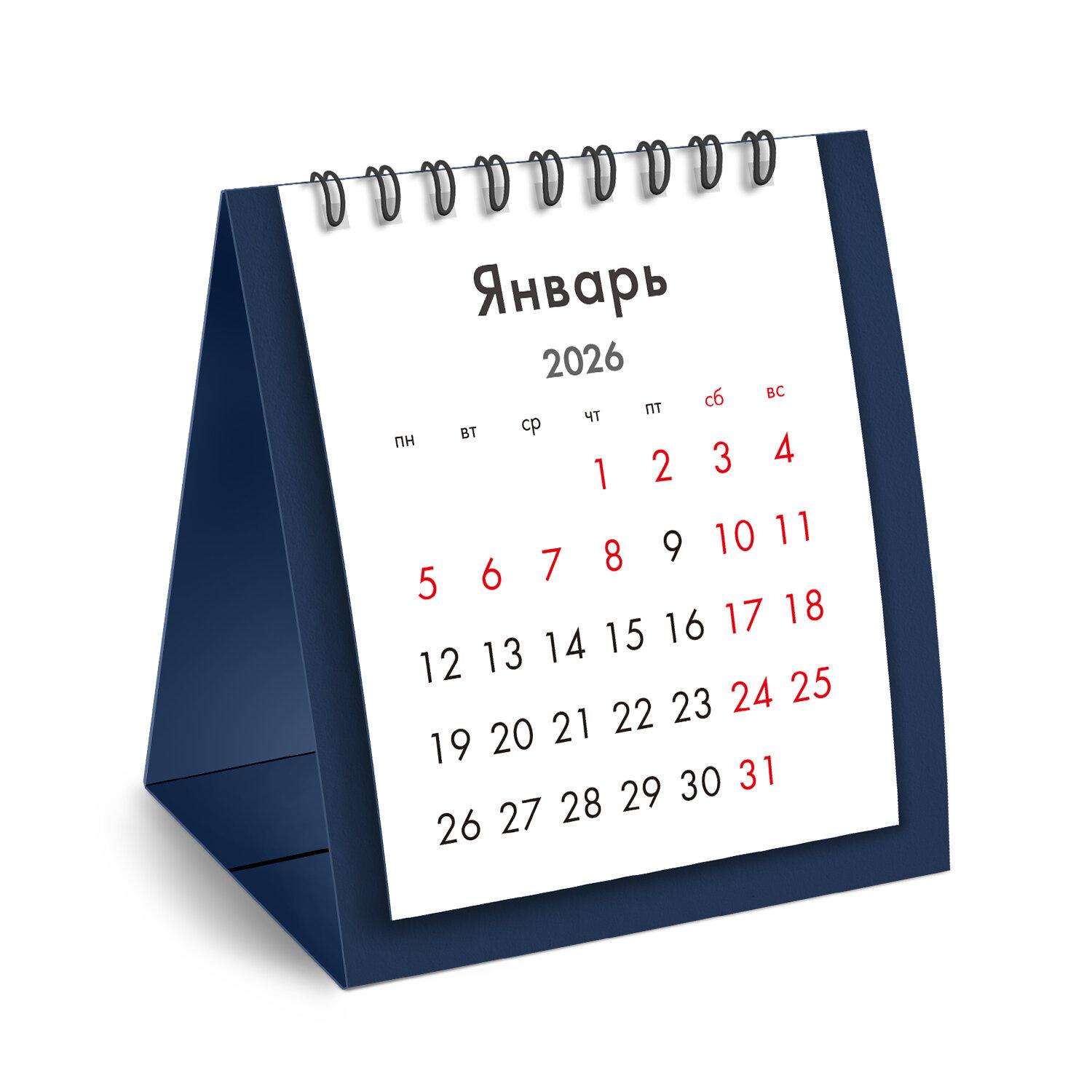 -   , 2026 ., BRAUBERG, 110120 , -, 117283
