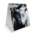 ���������-����� ���������� �� ������, 2027 �., BRAUBERG, 101�101 ��, 