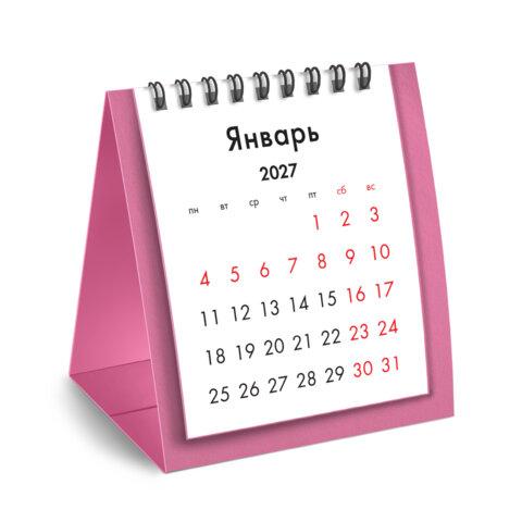 ���������-����� ���������� �� ������, 2027 �., BRAUBERG, 110�120 ��, �������, 118326