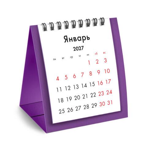 ���������-����� ���������� �� ������, 2027 �., BRAUBERG, 110�120 ��, ���������, 118335