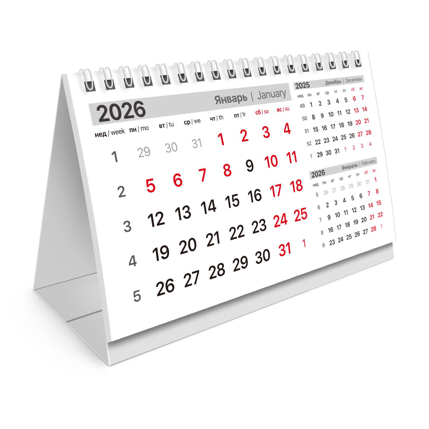 -     , 2026 ., BRAUBERG, 160105 , , 117270