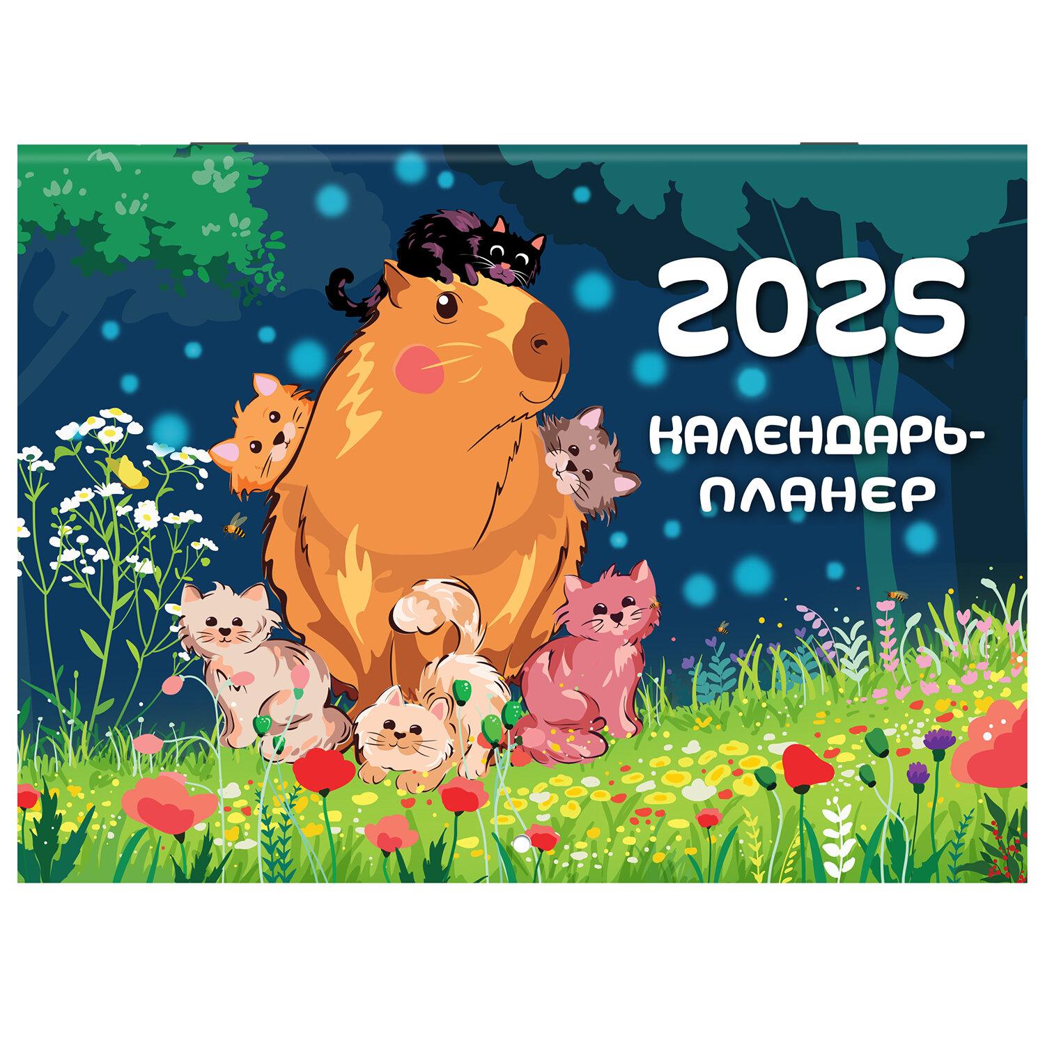 -    2025, 12 , 3022, , BRAUBERG, 116175