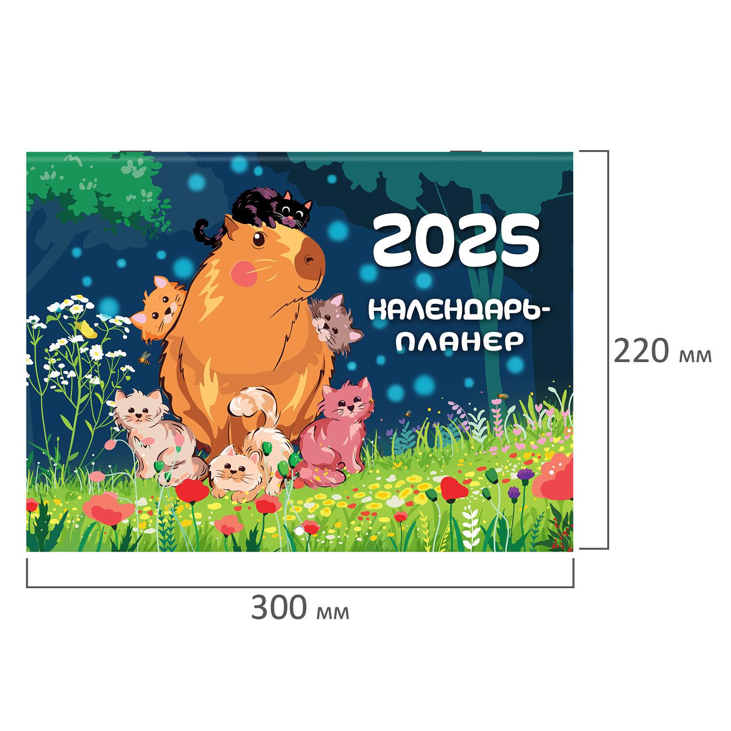 -    2025, 12 , 3022, , BRAUBERG, 116175