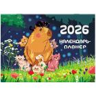 -    2026 ., BRAUBERG, 12 , 29,521,3 , 