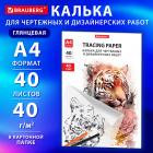       , 4, 210297 , 40 /2, 40 , BRAUBERG, 116375