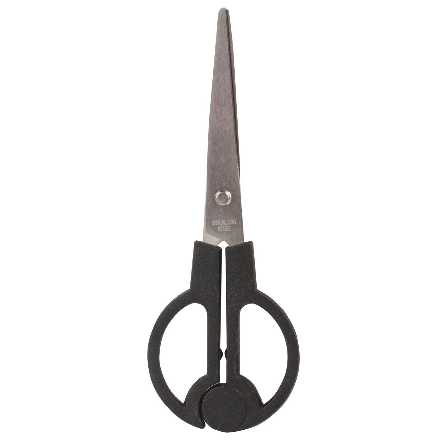   BRAUBERG , 10 ,  , , 236953
