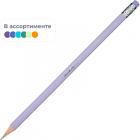   Attache Selection Borealis HB ,  , 