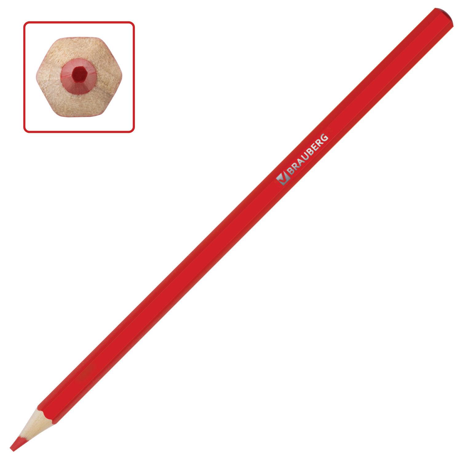    BRAUBERG , 24 , , , 181400