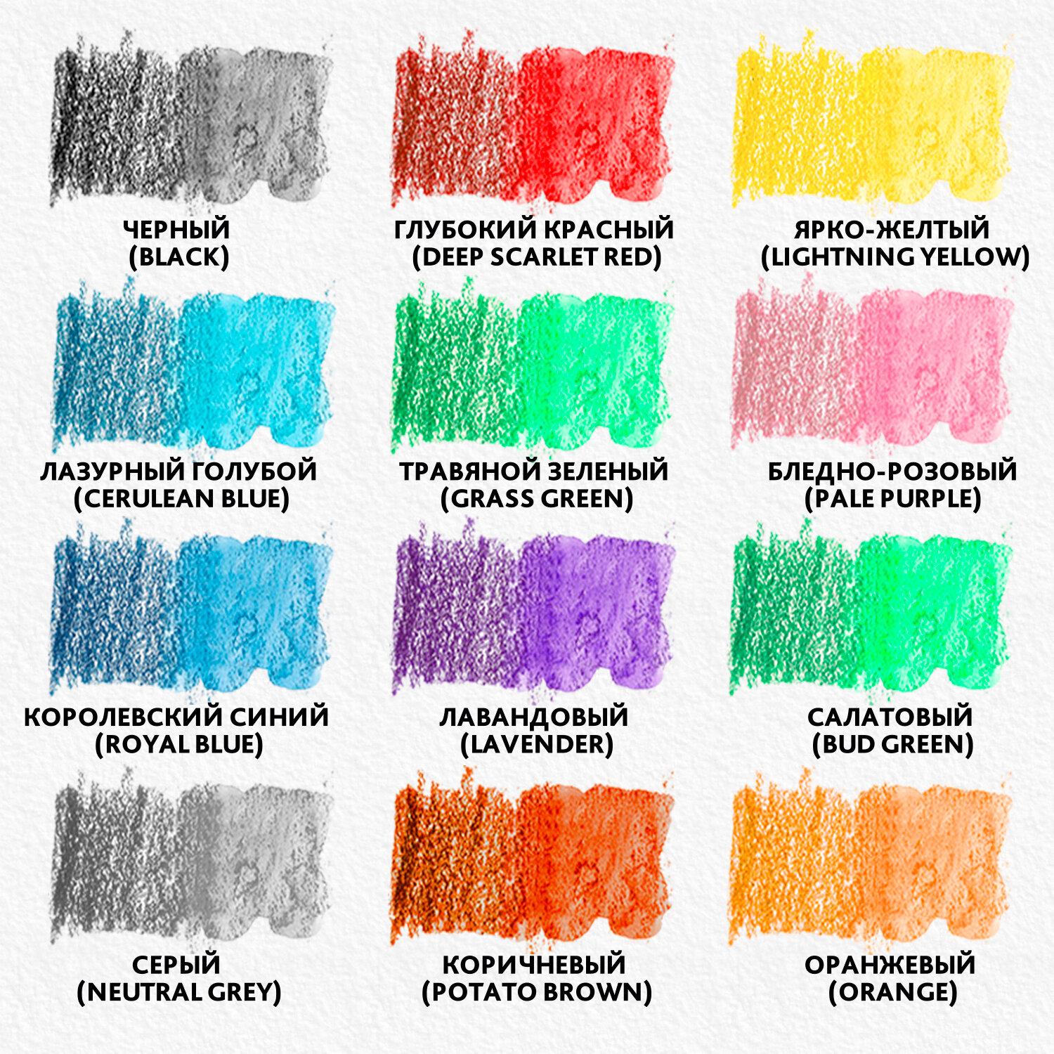   BRAUBERG PREMIUM AQUARELLE, 12 ,  4 , 181671