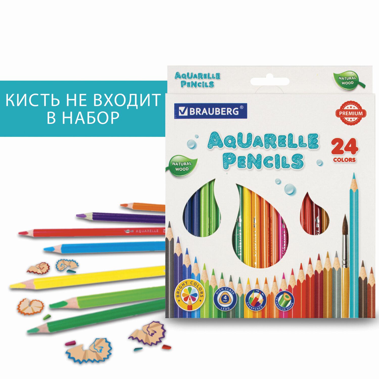    BRAUBERG PREMIUM AQUARELLE, 24 ,  4 , 181673