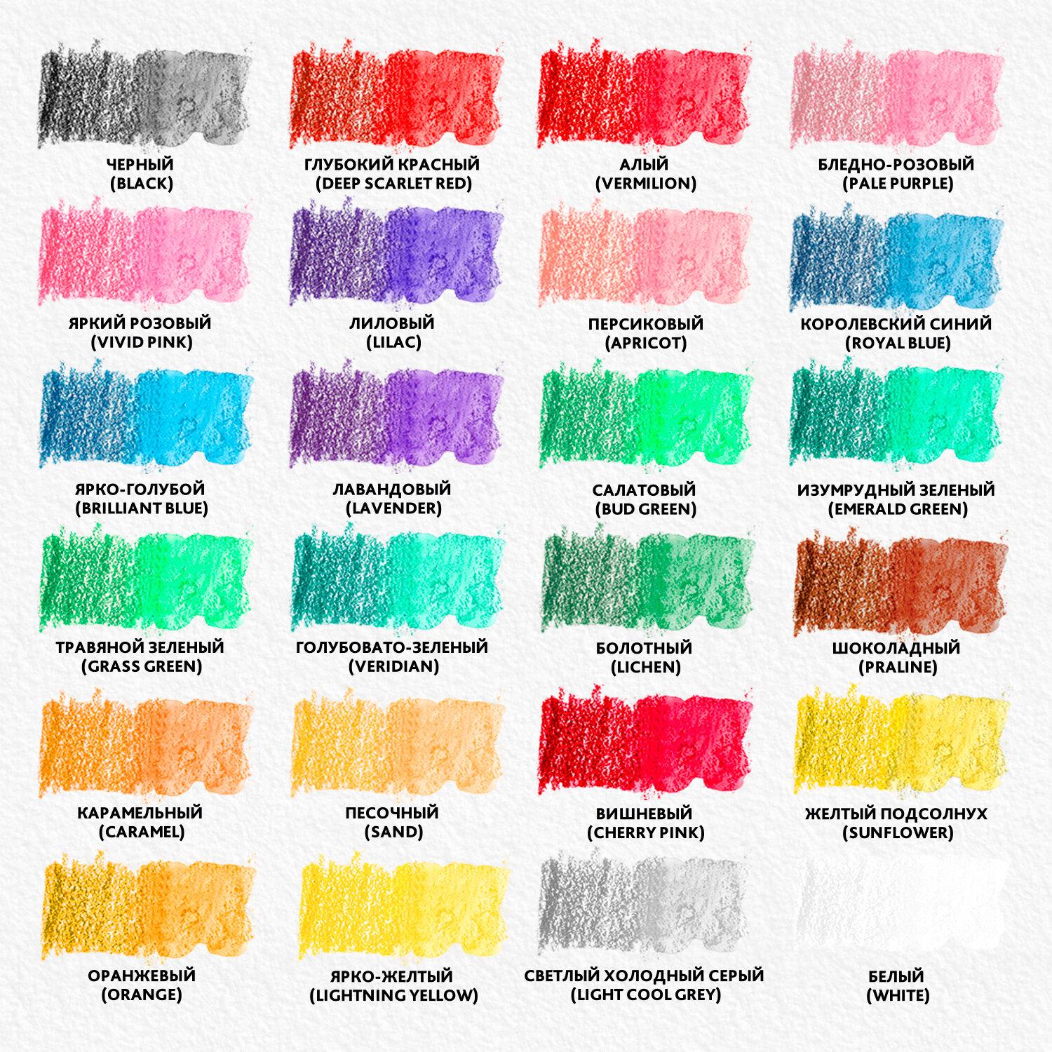    BRAUBERG PREMIUM AQUARELLE, 24 ,  4 , 181673