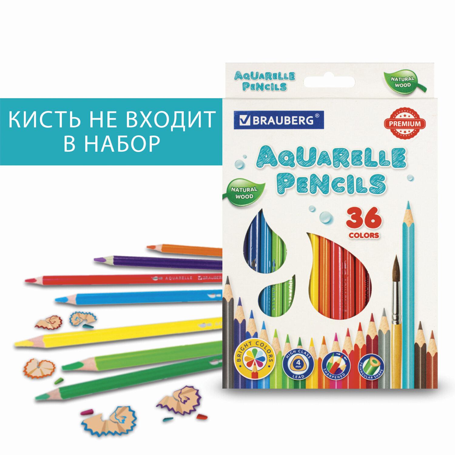    BRAUBERG PREMIUM AQUARELLE, 36 ,  4 , 181674