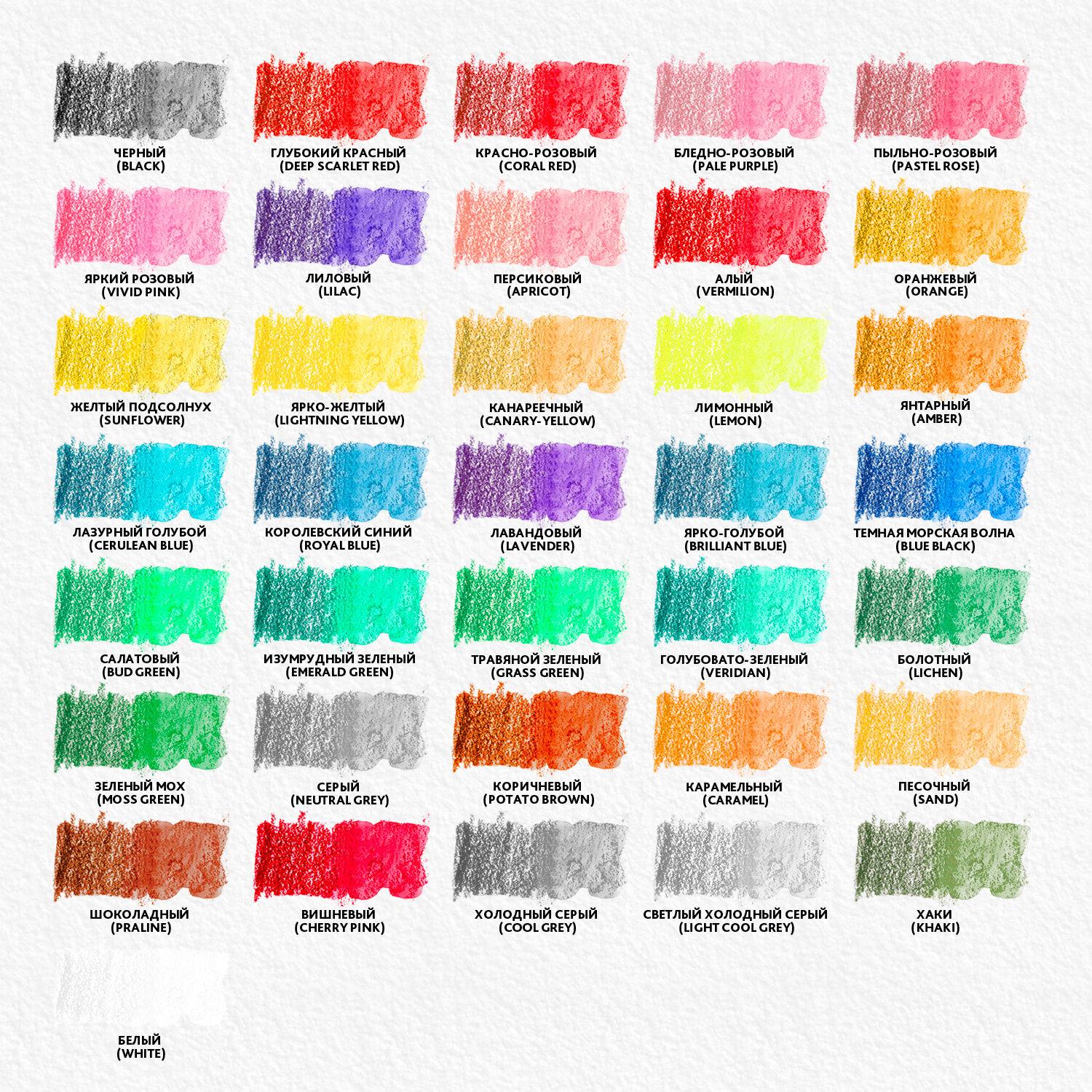    BRAUBERG PREMIUM AQUARELLE, 36 ,  4 , 181674
