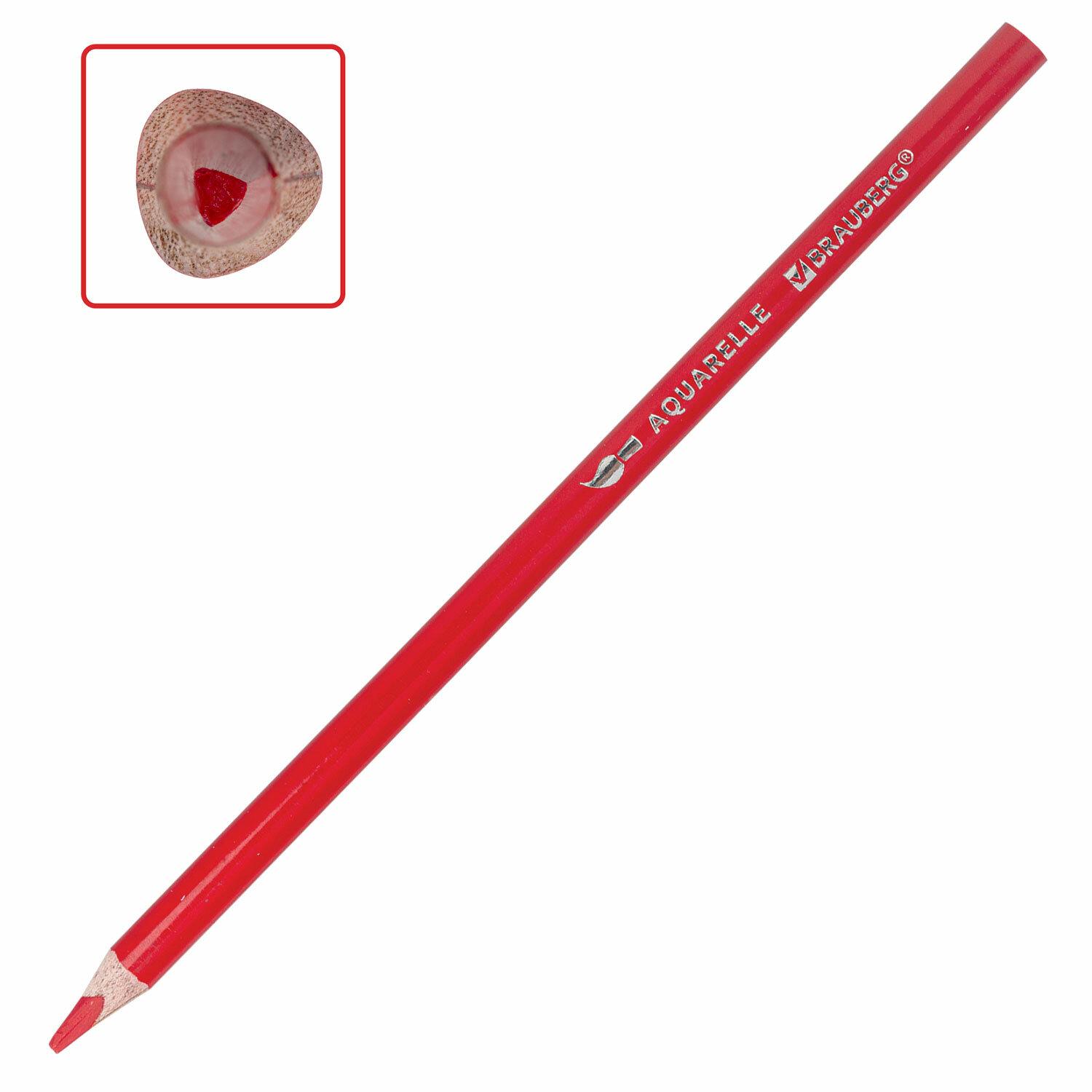    BRAUBERG PREMIUM AQUARELLE 36   , , , 181933