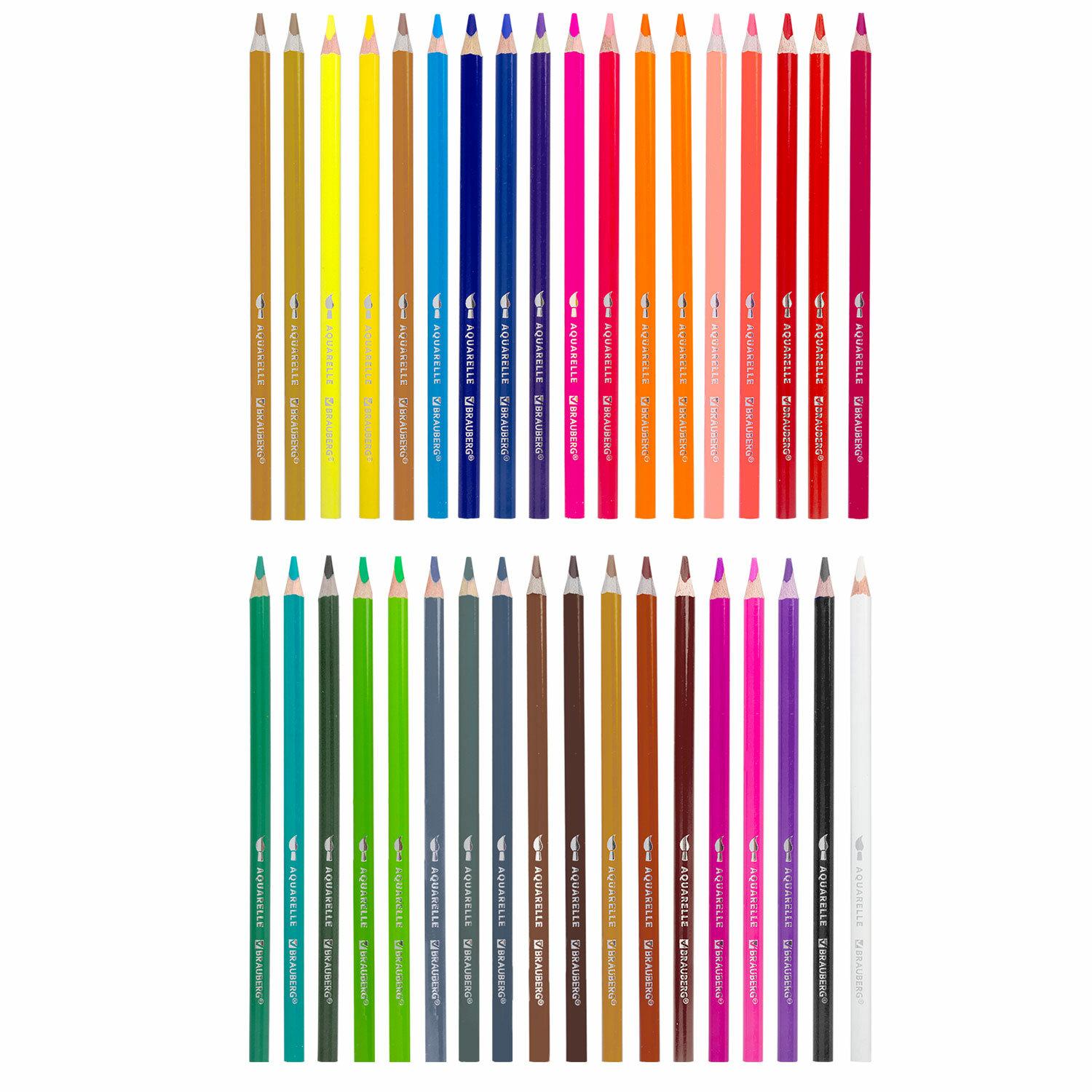    BRAUBERG PREMIUM AQUARELLE 36   , , , 181933