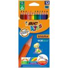   BIC 