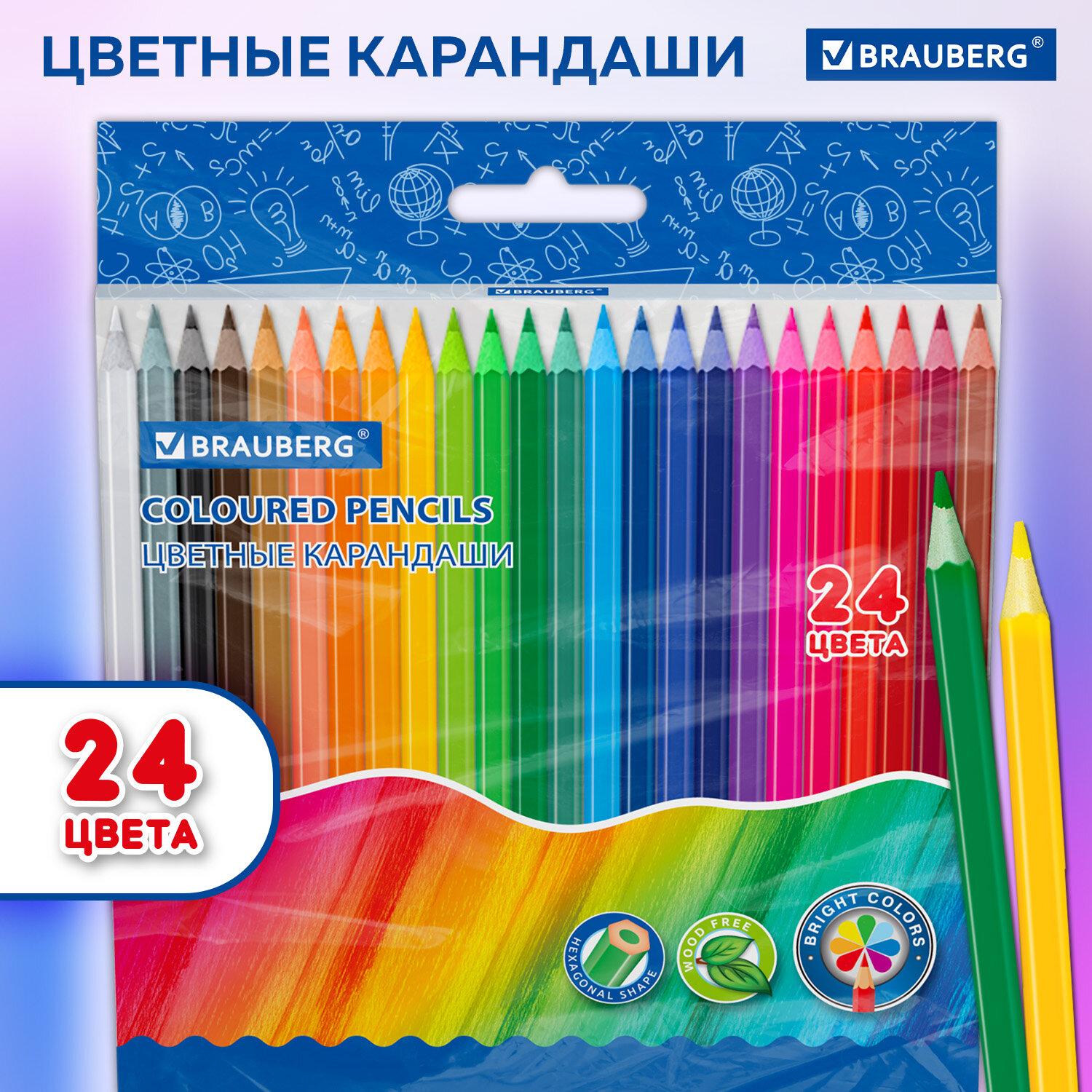   BRAUBERG, 24 ,  , -, , 182068