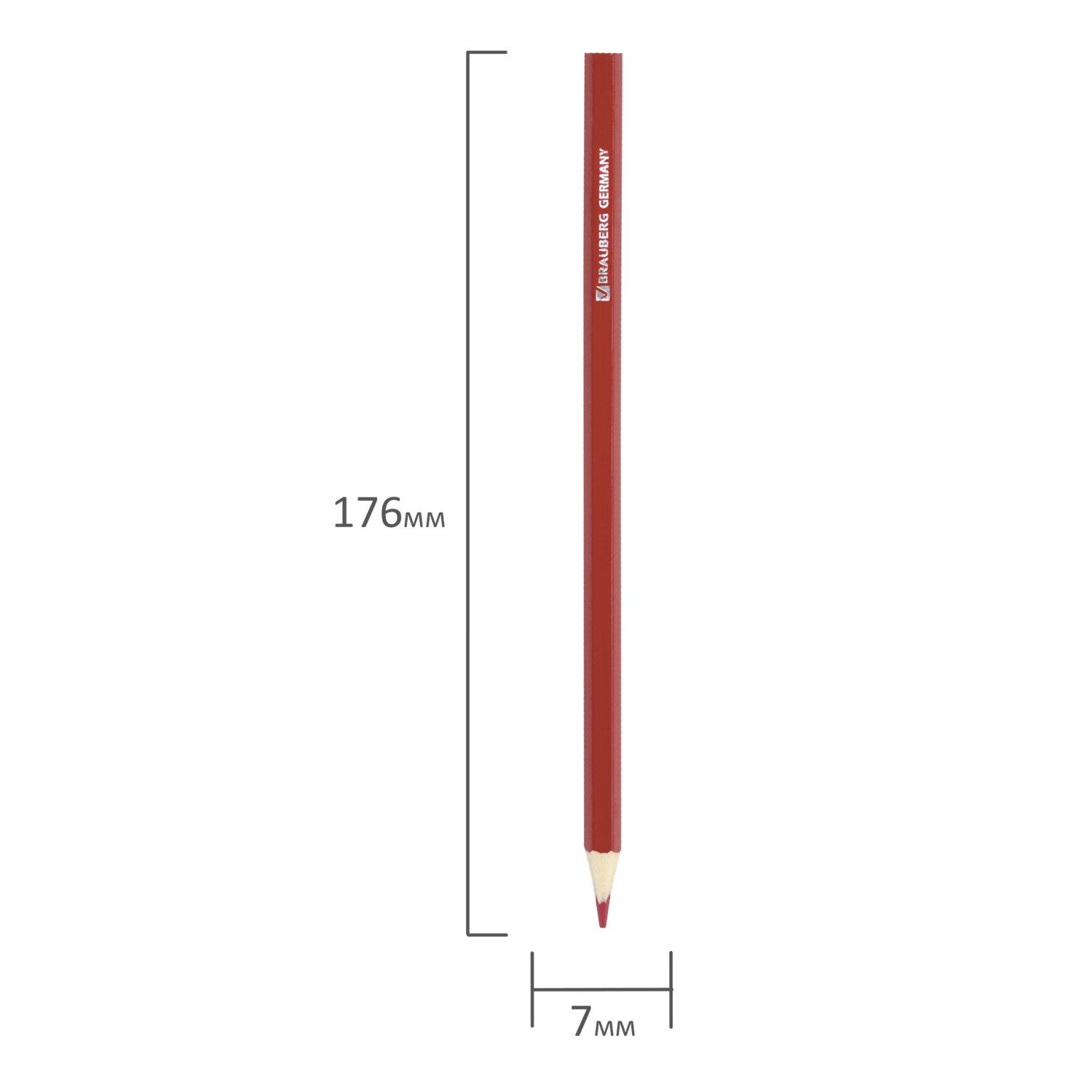   BRAUBERG My lovely dogs, 18 , ,  , 180546