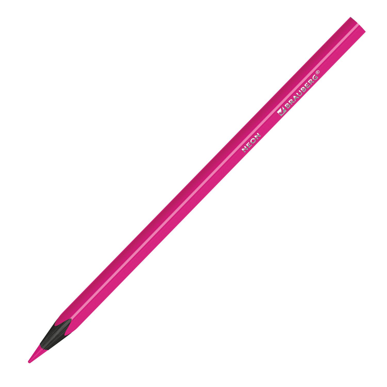   BRAUBERG NEON, 12  ,  , , 181852