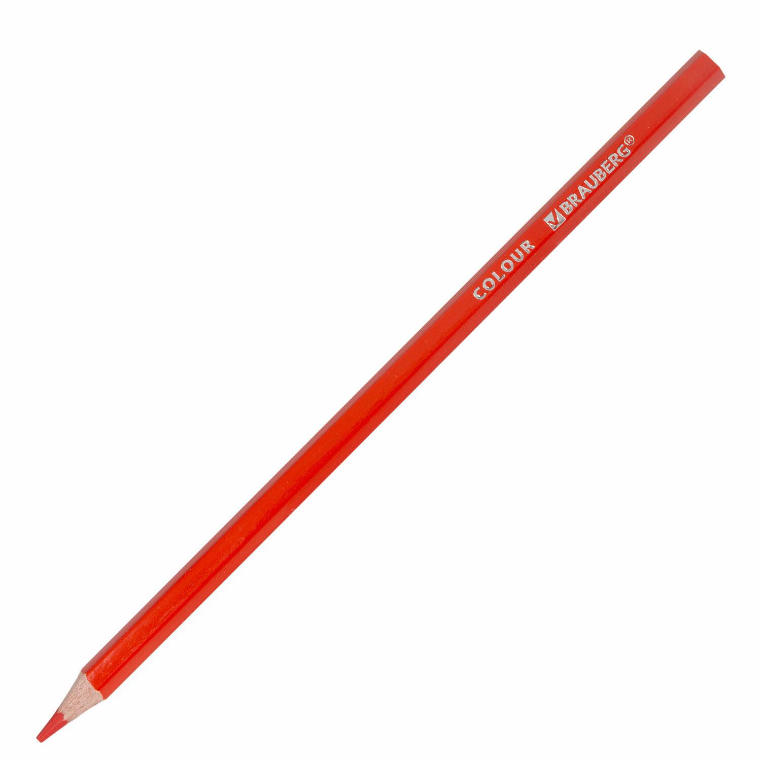   BRAUBERG PREMIUM, 18 , , ,  3 , 181667