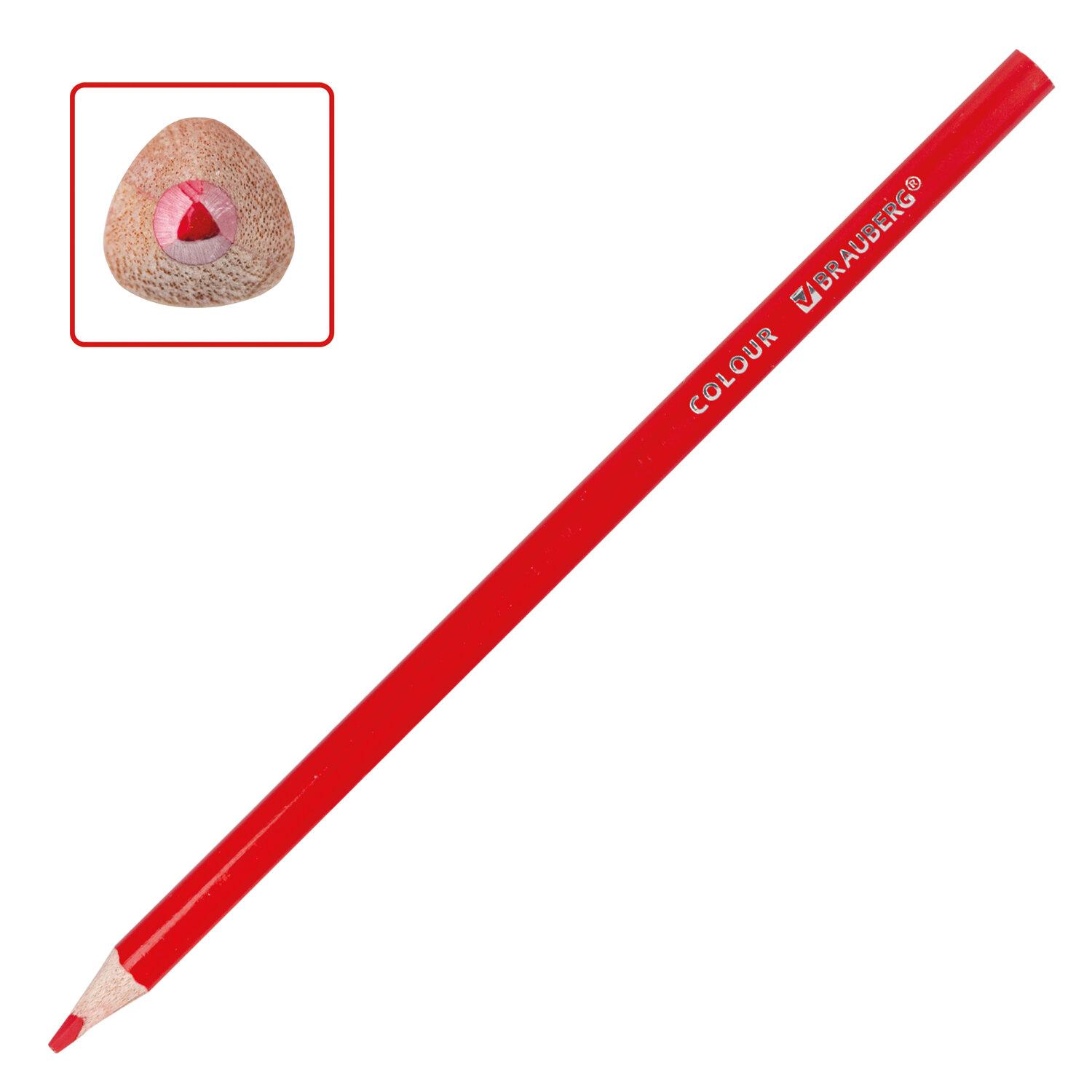   BRAUBERG PREMIUM, 18 , ,  3,3 , 181652