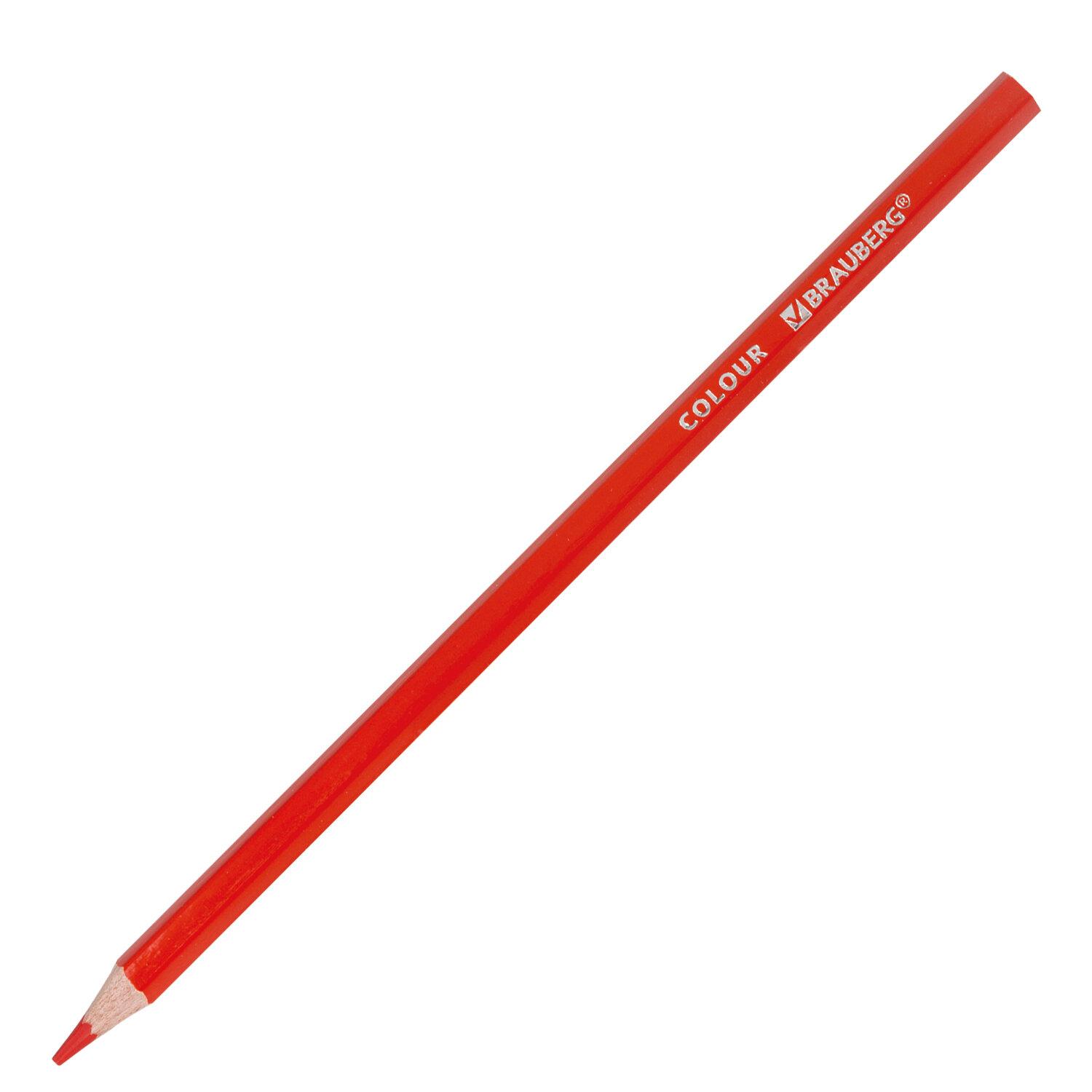   BRAUBERG PREMIUM, 24 , ,  3,3 , 181658