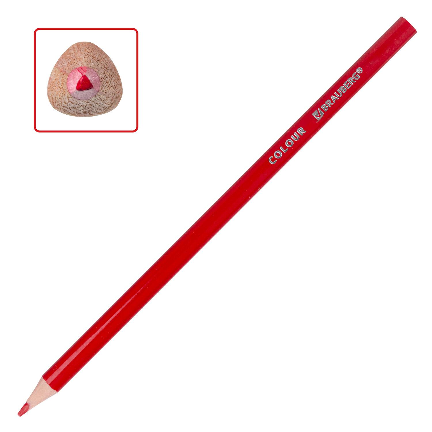   BRAUBERG PREMIUM, 24 , , ,  3 , 181663