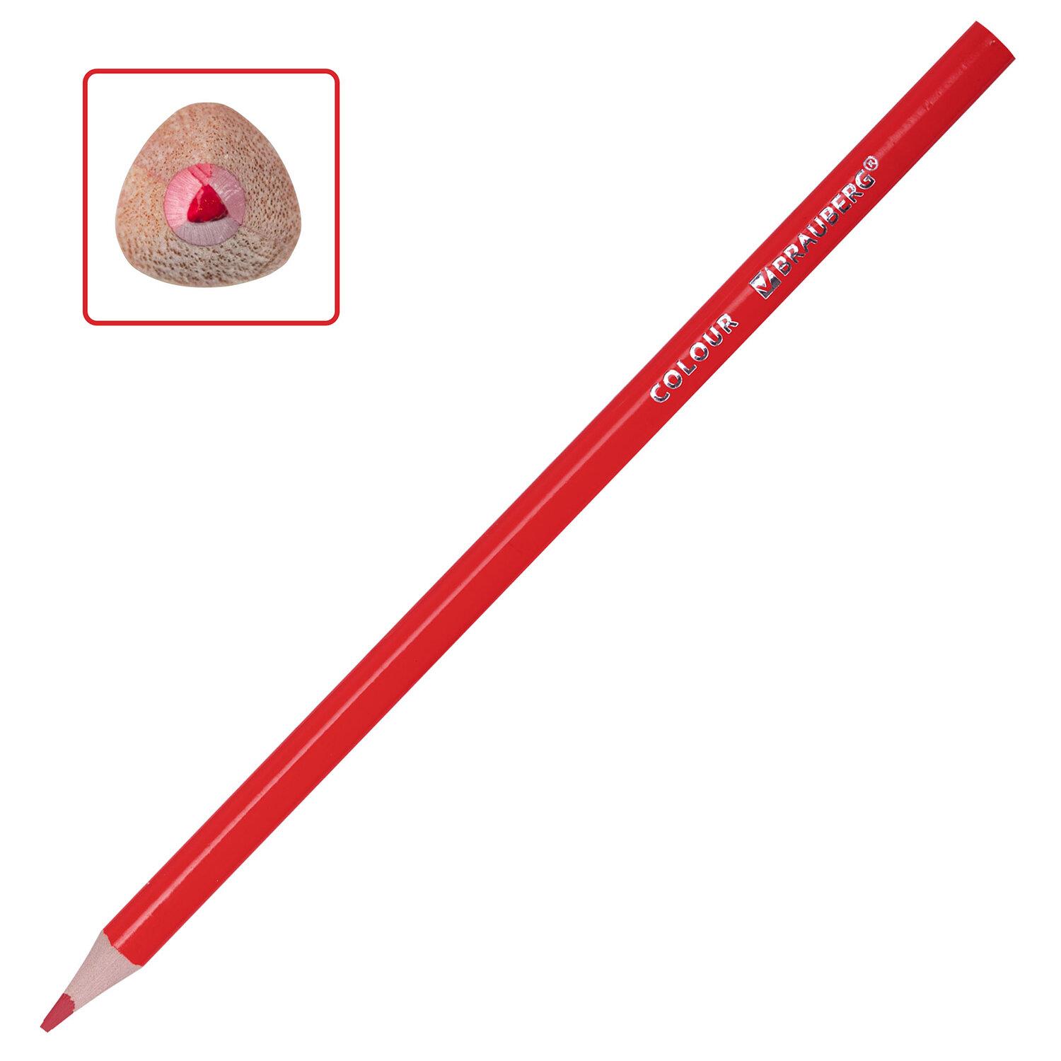   BRAUBERG PREMIUM, 36 , , ,  3 , 181664
