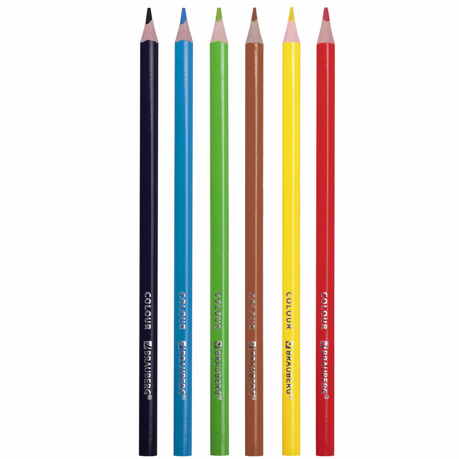   BRAUBERG PREMIUM, 6 , , ,  3 , 181660