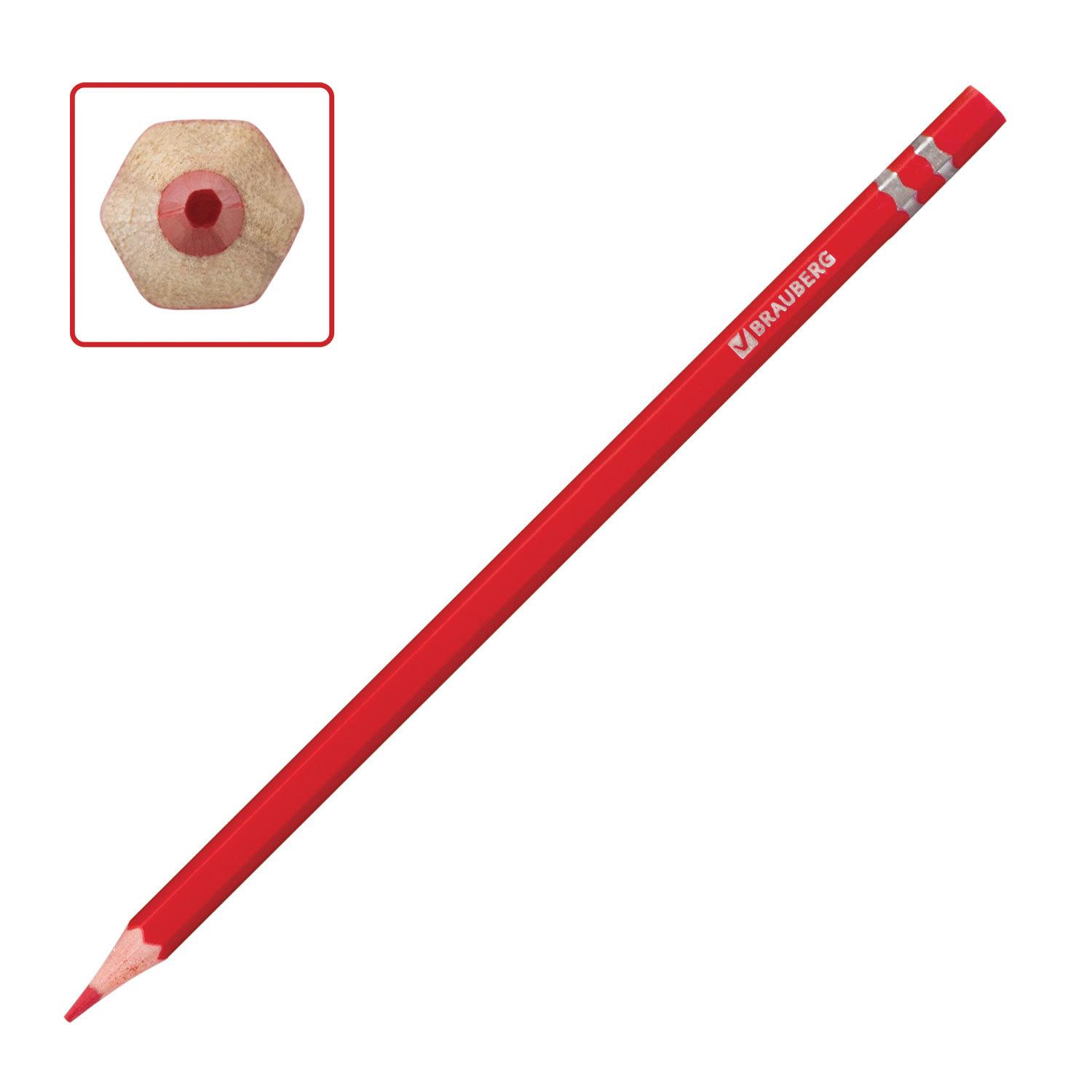   BRAUBERG Pretty Girls, 12 , , ,  , 180576
