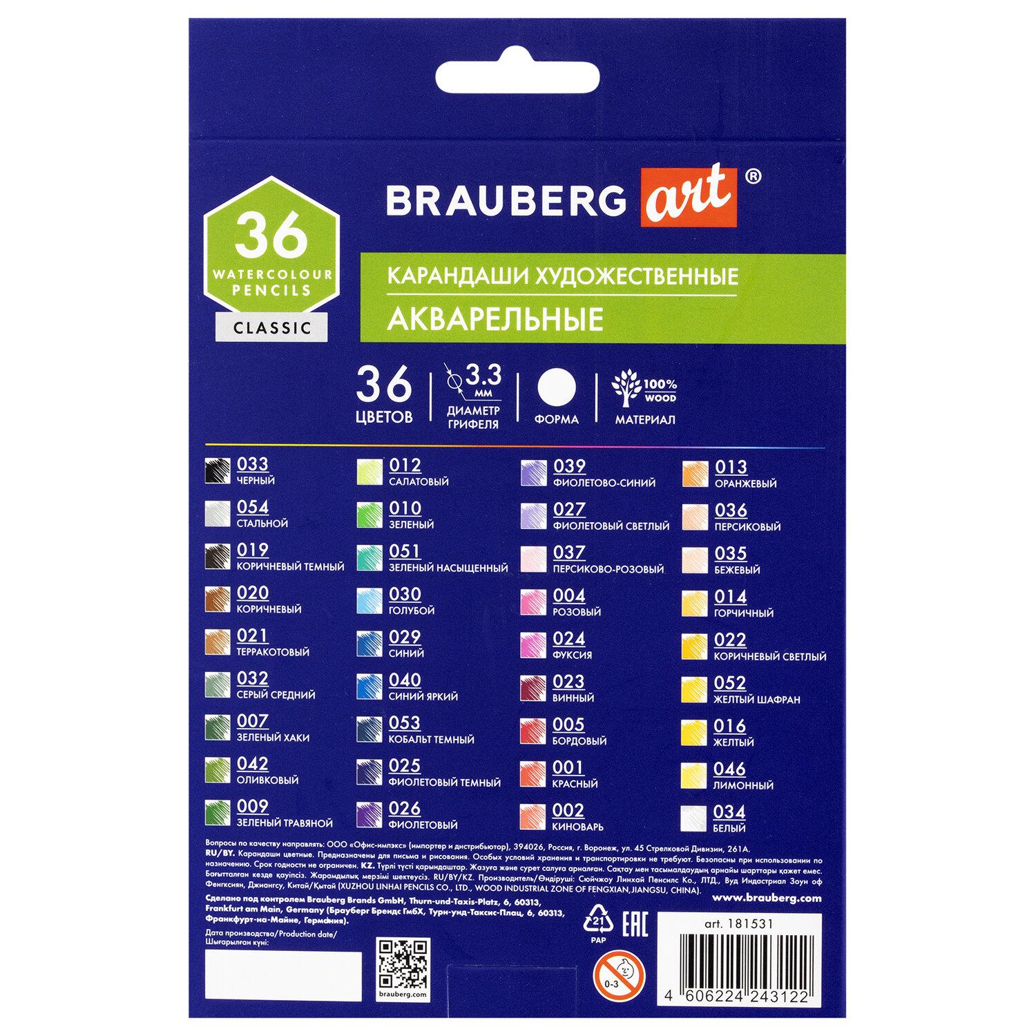     BRAUBERG ART CLASSIC, 36 ,  3,3 , 181531