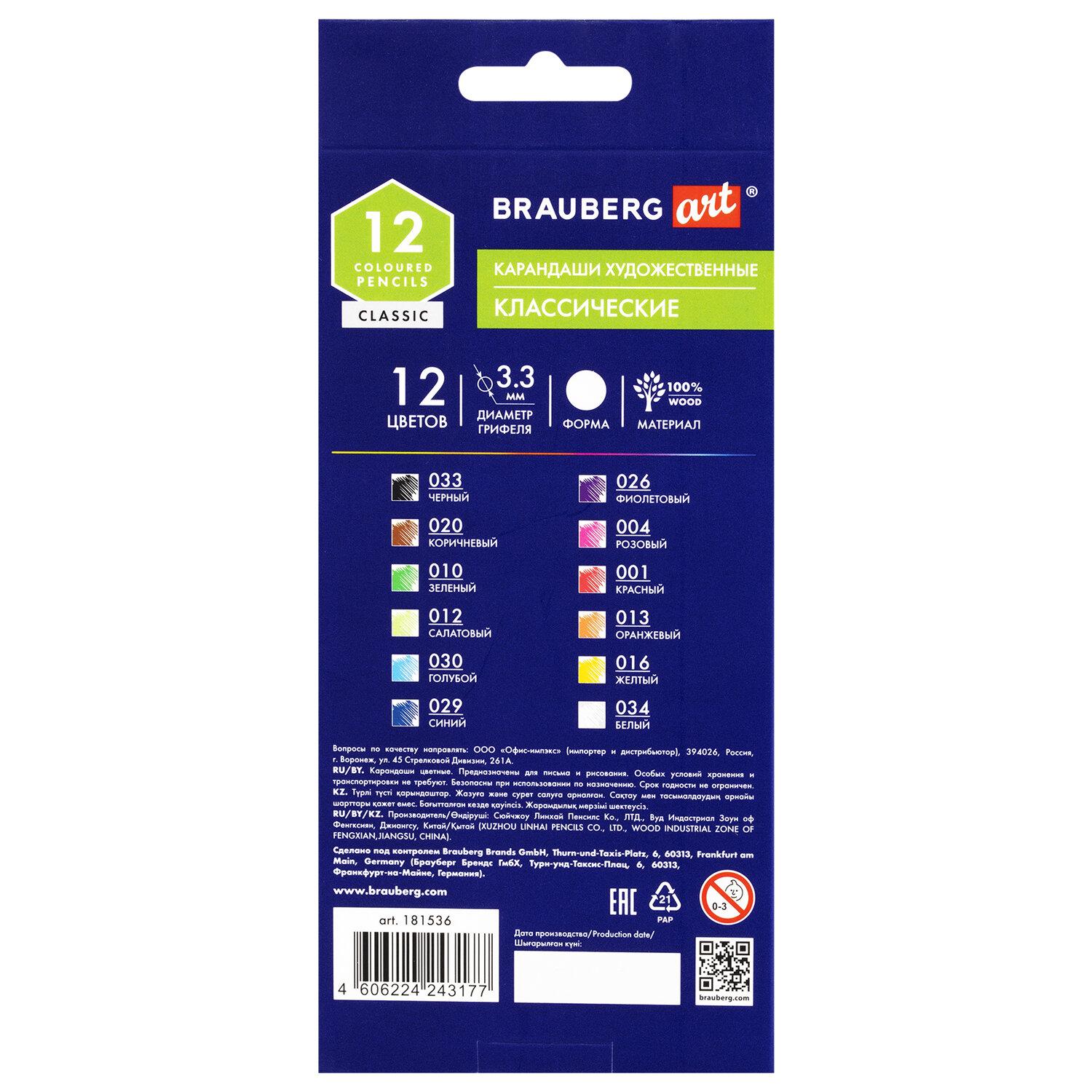    BRAUBERG ART CLASSIC, 12 ,   3,3 , 181536