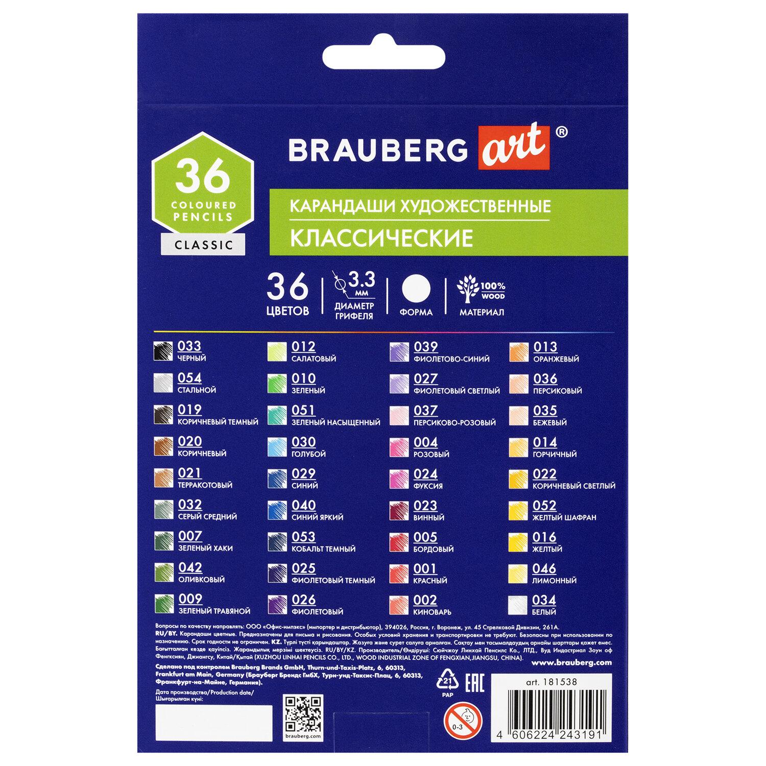    BRAUBERG ART CLASSIC, 36 ,   3,3 , 181538