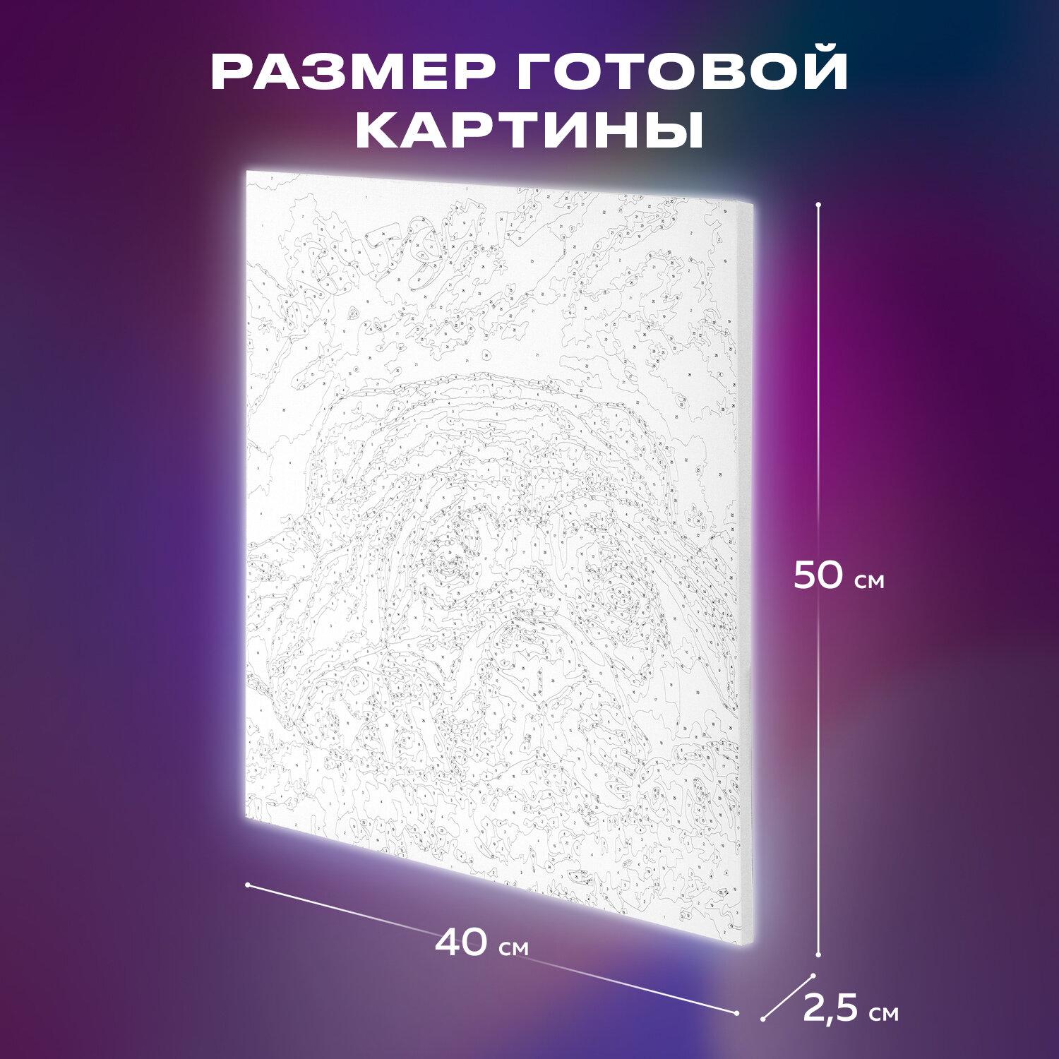    4050 ,   !,  , , , 662904