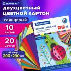   4 2-  EXTRA, 10 , 20 ,  , BRAUBERG, 200290 , 113553