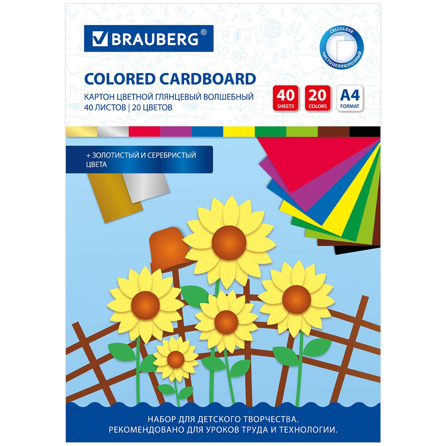 ������ ������� �4 ���������� ��������� EXTRA, 40 ������, 20 ������, � �����, BRAUBERG, 200�290 ��, 113545