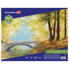 ����� �� ������� BRAUBERG ART CLASSIC, 40�50 ��, ������������, 100% ������, ������ �����, 190622