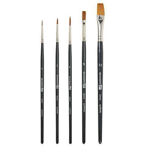 ����� �������������� ����� 5 ��., ���������, BRAUBERG ART CLASSIC, � 1-12, 200960