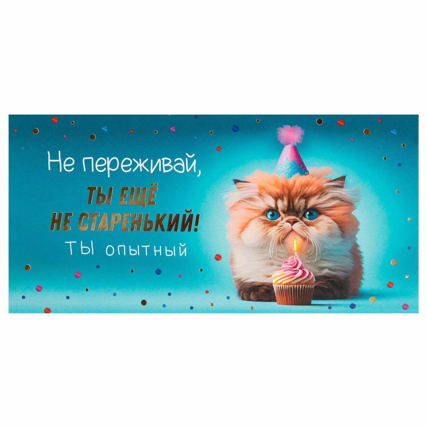     16682 , ,   , 12 , 116361