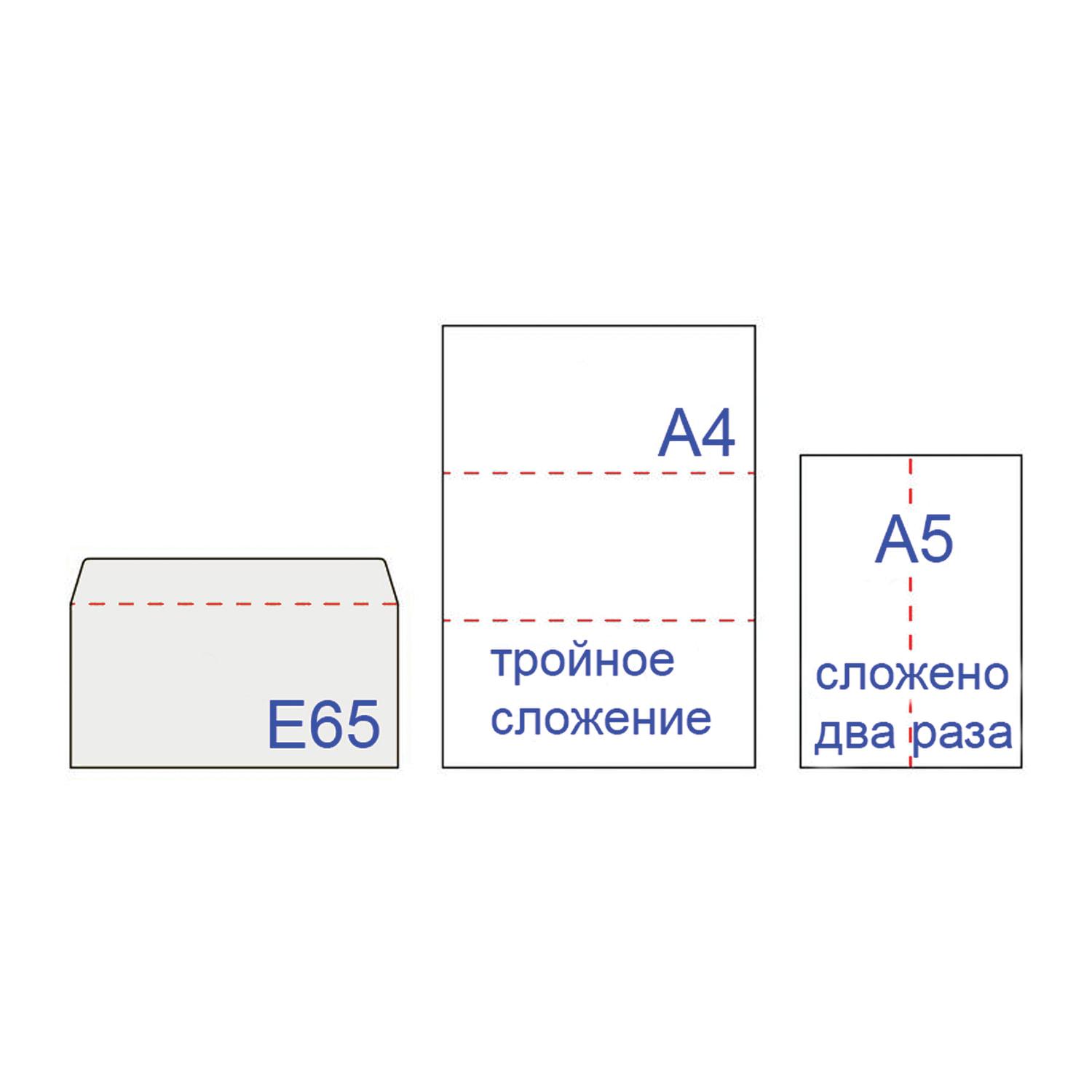  E65 (110220 ),  , ,  1000 .,  , 65.01