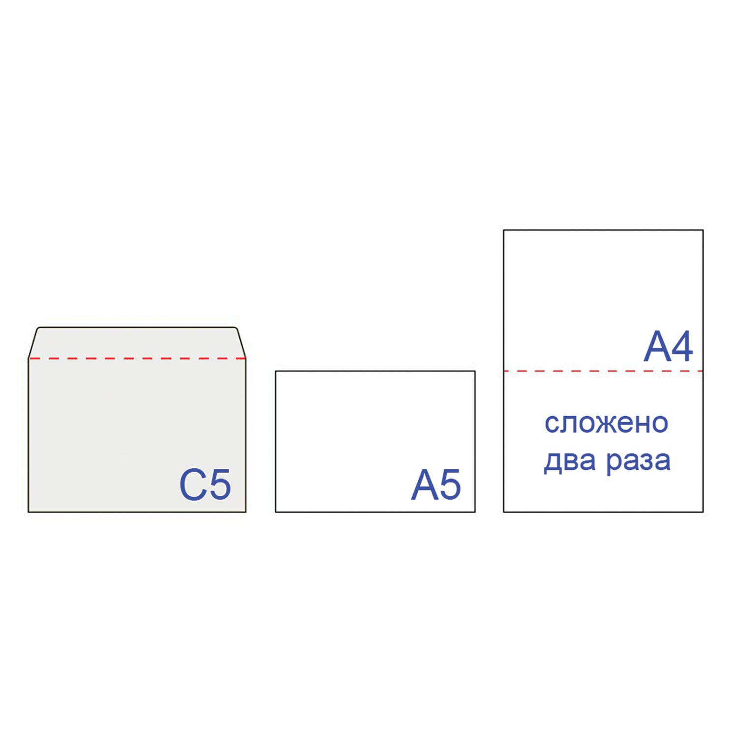  5 (162229 ),  , -, 80 /2,  1000 ., 41378