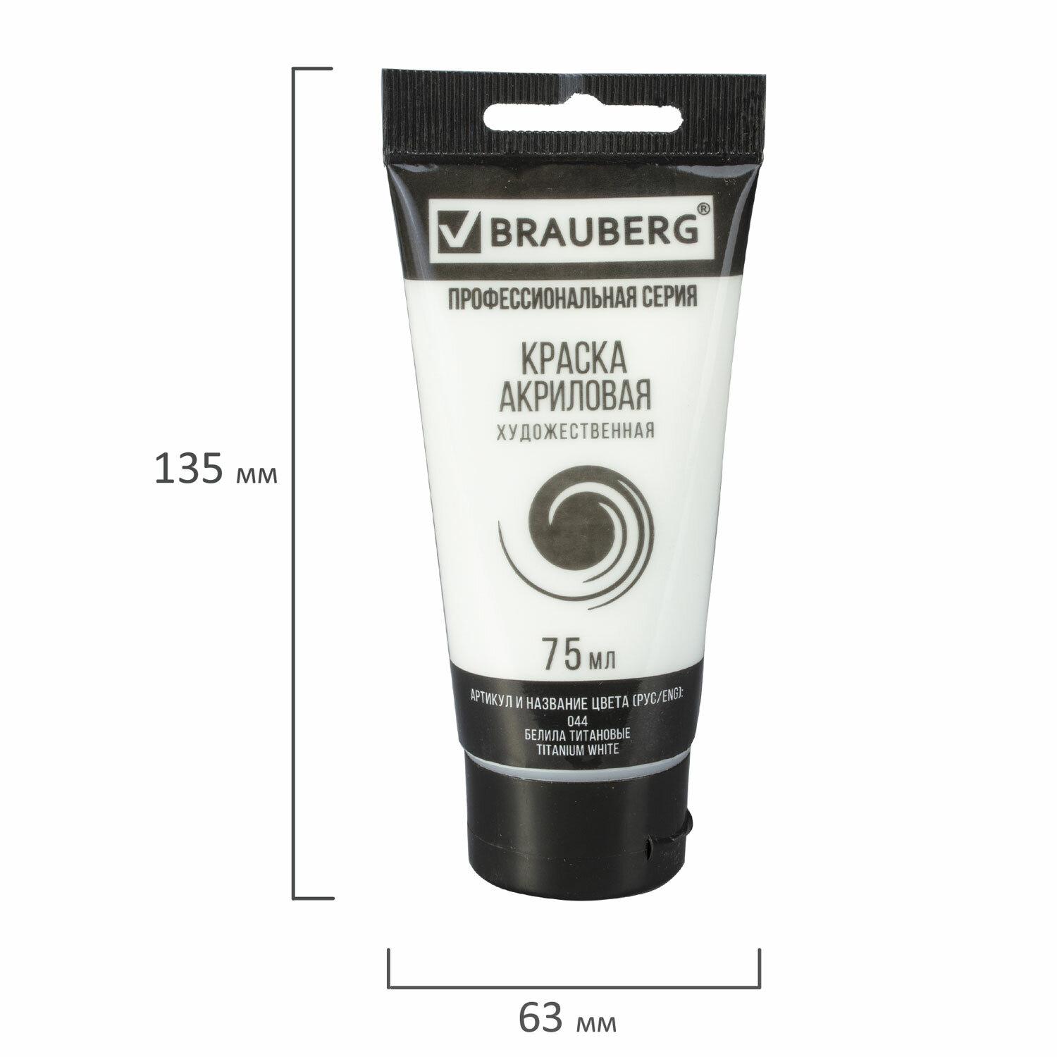 ������ ��������� �������������� BRAUBERG ART CLASSIC, ���� 75��, ������ ���������, 191073