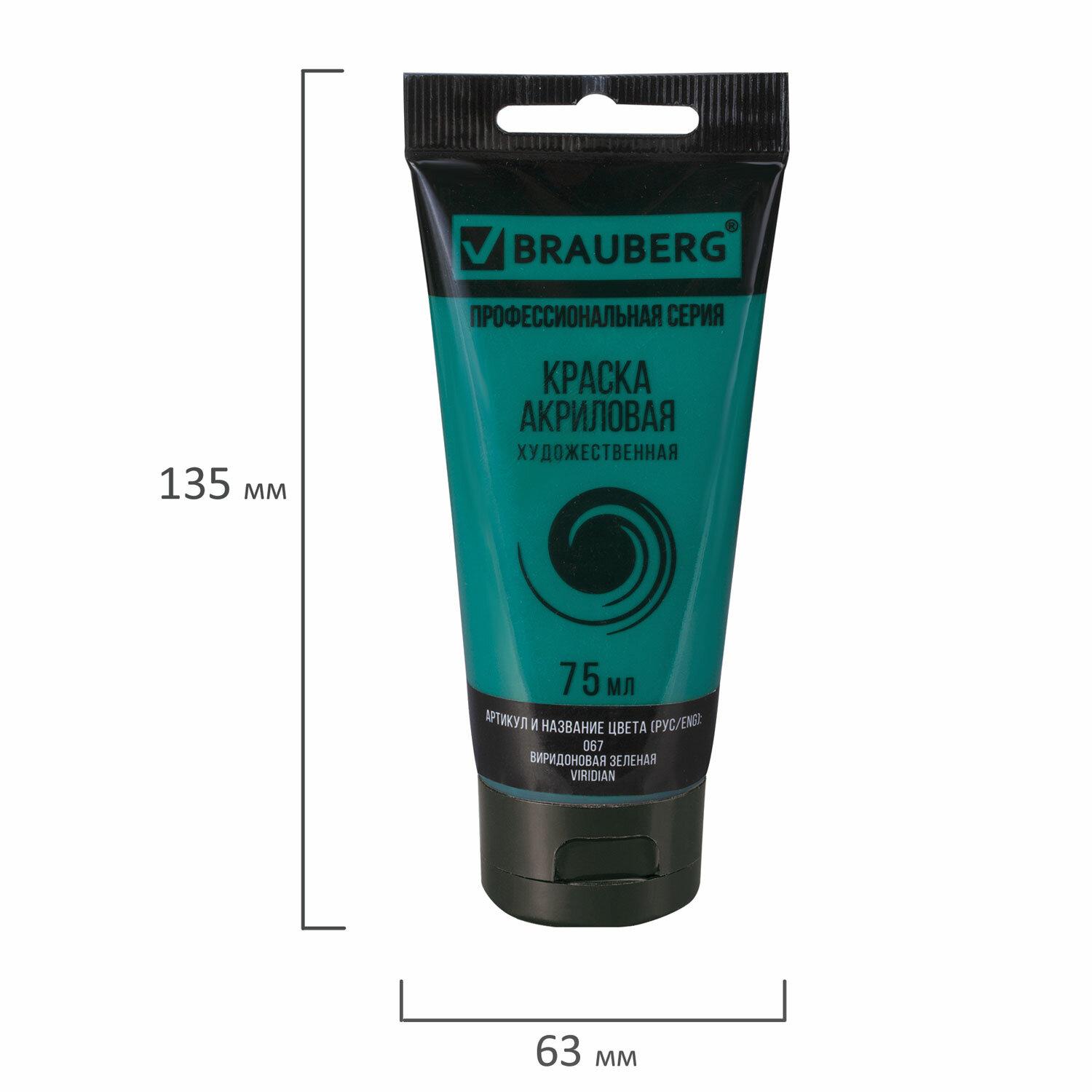    BRAUBERG ART CLASSIC,  75,  , 191107