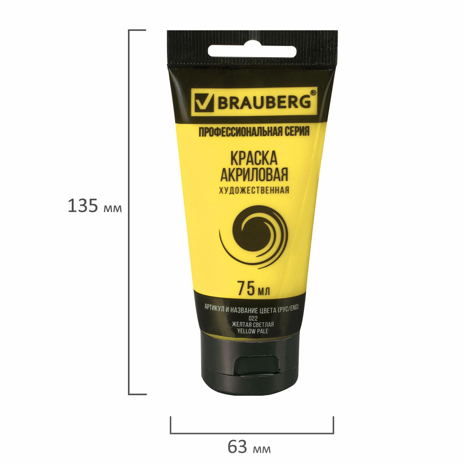    BRAUBERG ART CLASSIC,  75,  , 191075