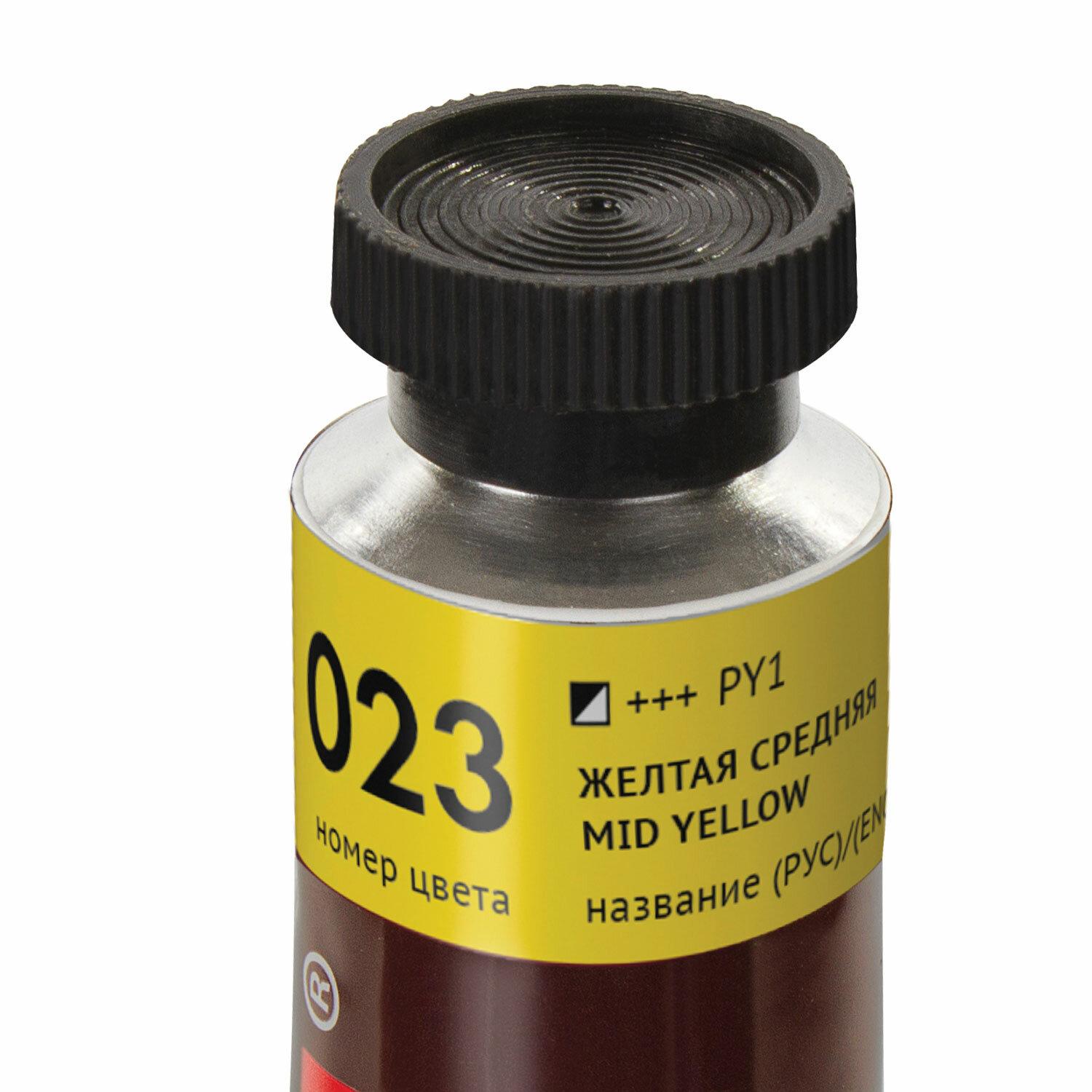    BRAUBERG ART PREMIERE, 46 ,  ,  , 191400