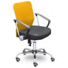  UP_EChair-203 PTW net  ,  , 