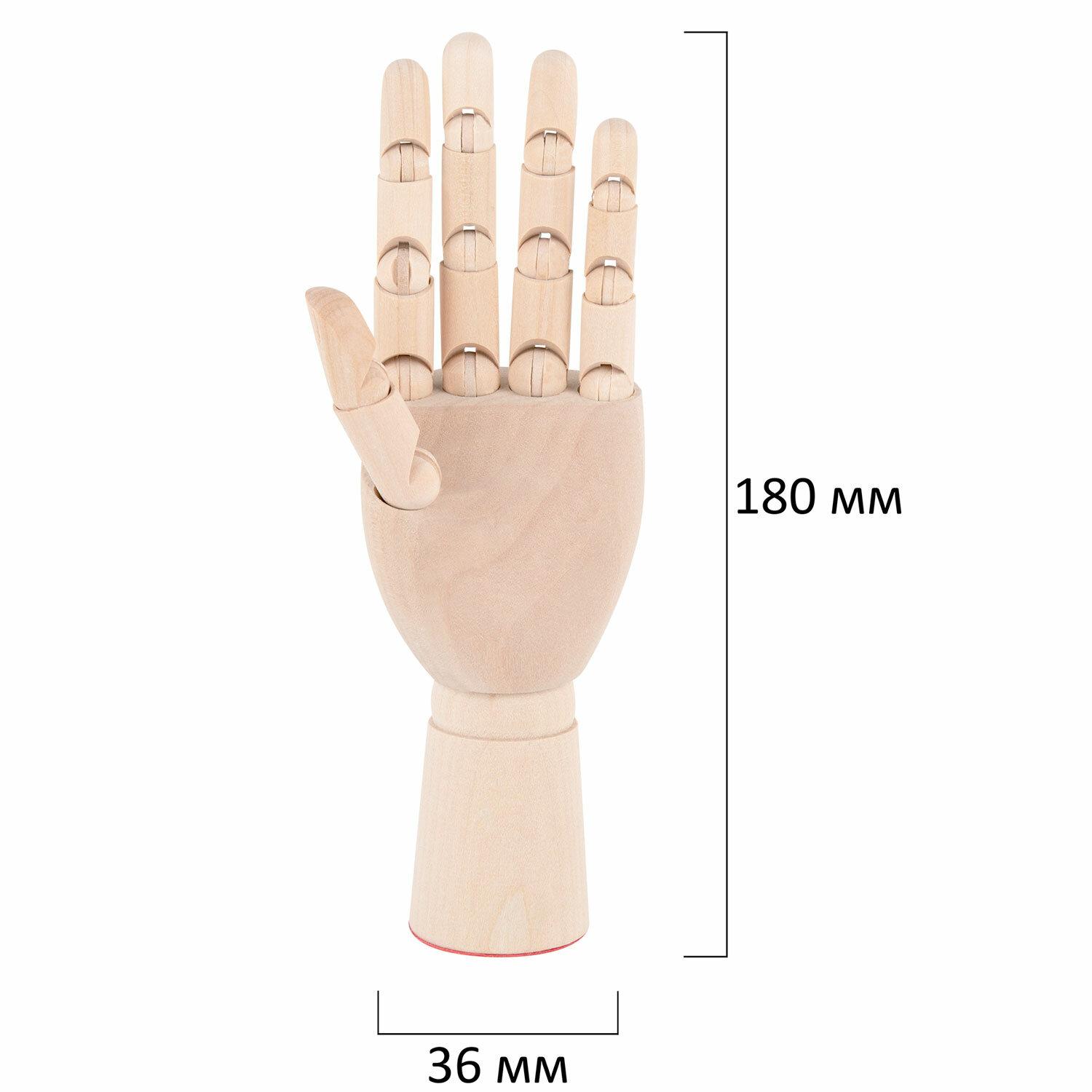   ,  18 , , BRAUBERG ART CLASSIC, 192516