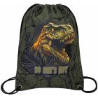    BRAUBERG PREMIUM, , , , 4333 , Dino attack, 272424