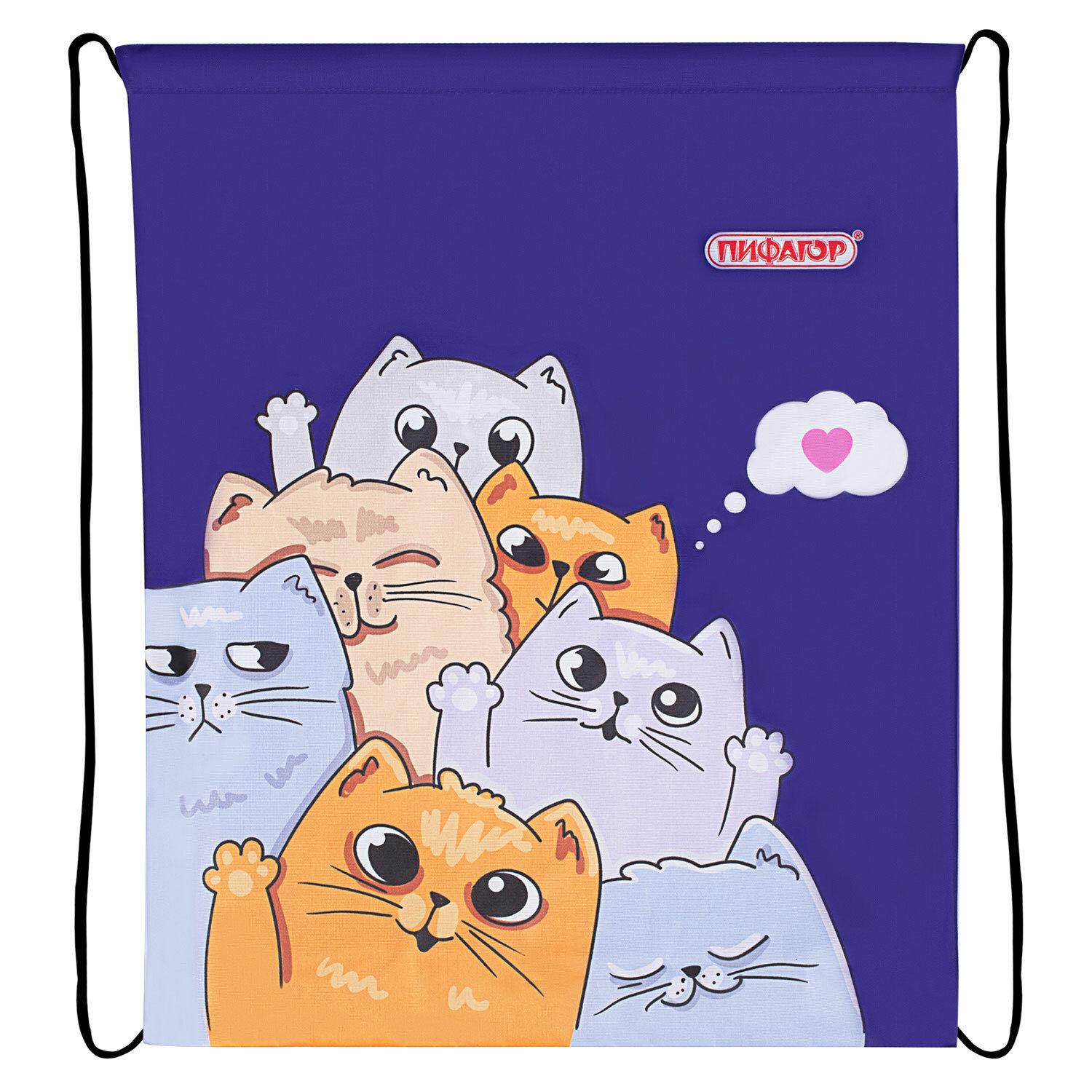    , 1 , 4032 , Cats greetings, 272382