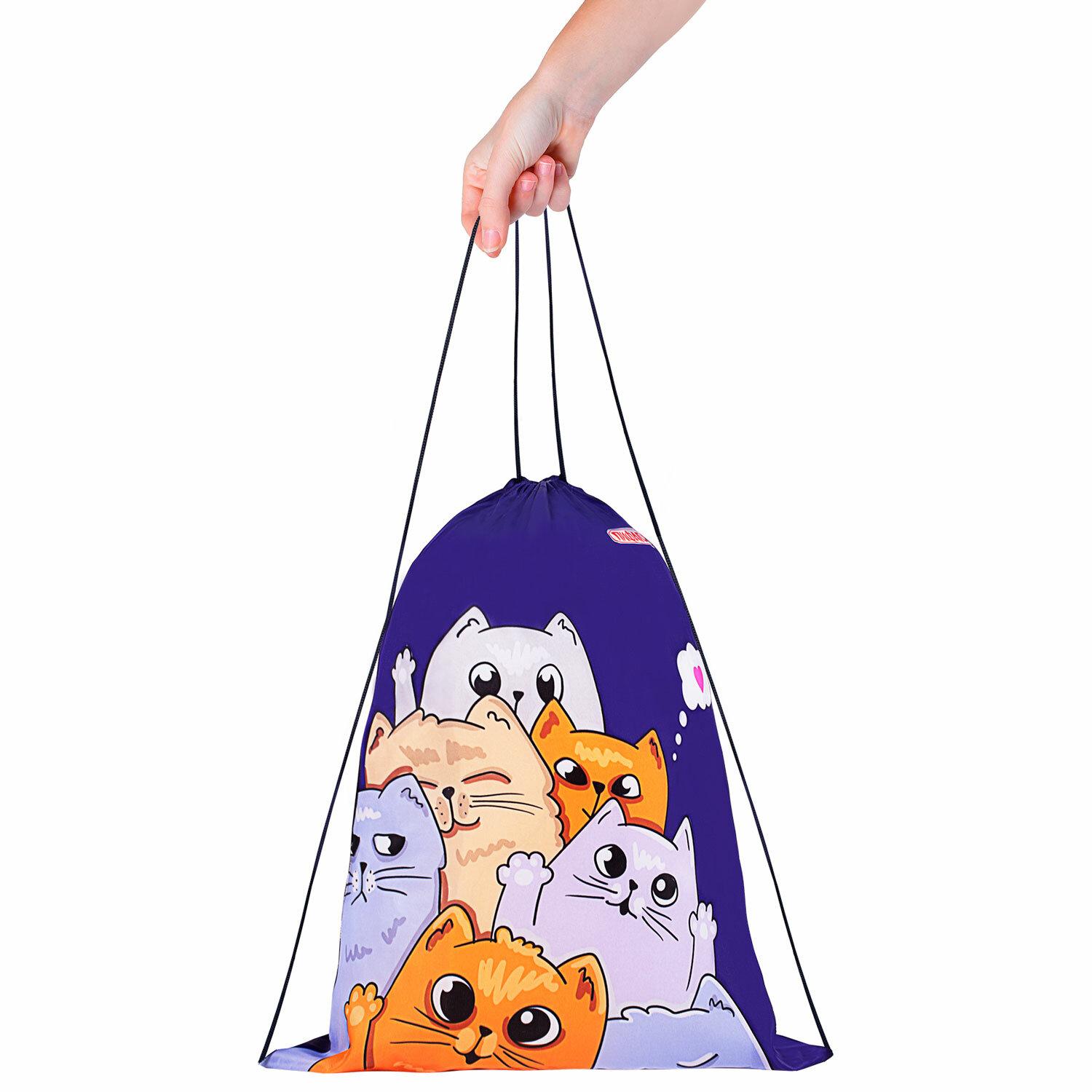    , 1 , 4032 , Cats greetings, 272382